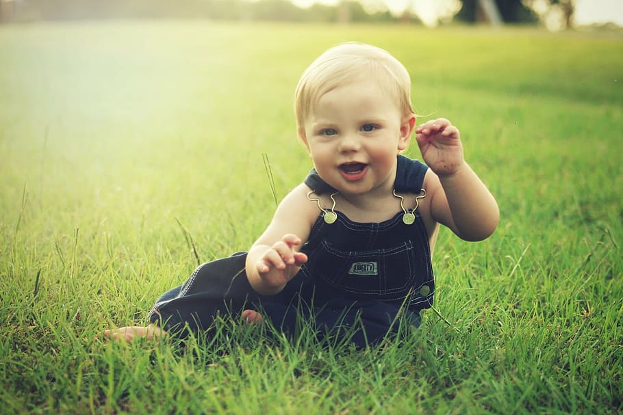 toddler, blue, dungaree, sitting, green, grass field, baby, boy, smiling, kid