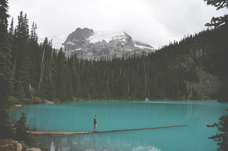 fotografia de paisagem, lago, floresta, pessoa, em pé, árvore, tronco, flutuante, agua, cercar