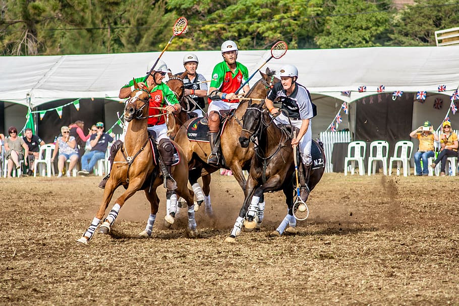 men, playing, polo, daytime, sport, polo cross, horse, animal, competition, horseman