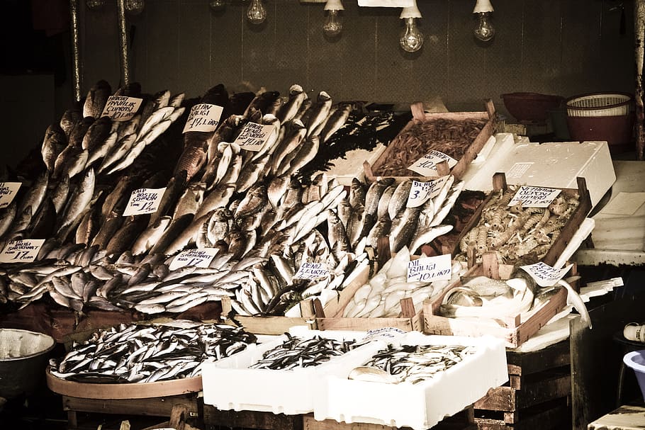 istanbul, market, turkey, bazaar, seafood, fish, trade, shop, traditional, large group of objects