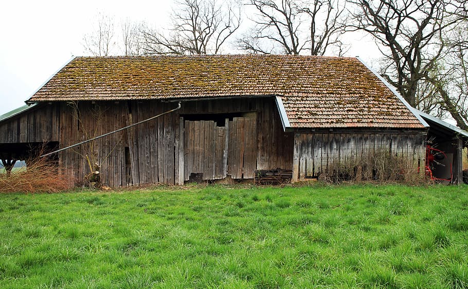 Barn, Hay, Scheuer, Agriculture, hay barn, stock, scale, wooden construction, farm buildings, agricultural