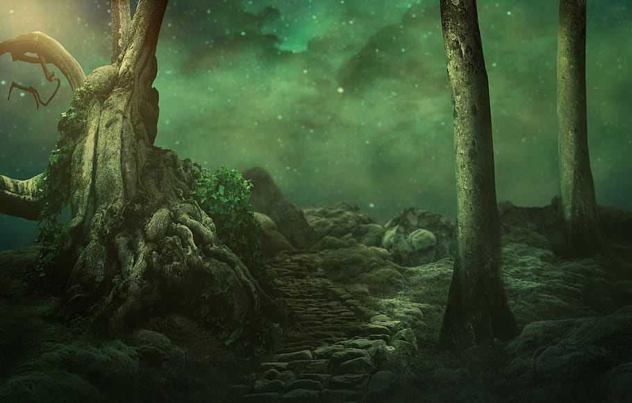 trees, starry sky, rock, moss, moonlight, mystical, mysterious, background image, path, old