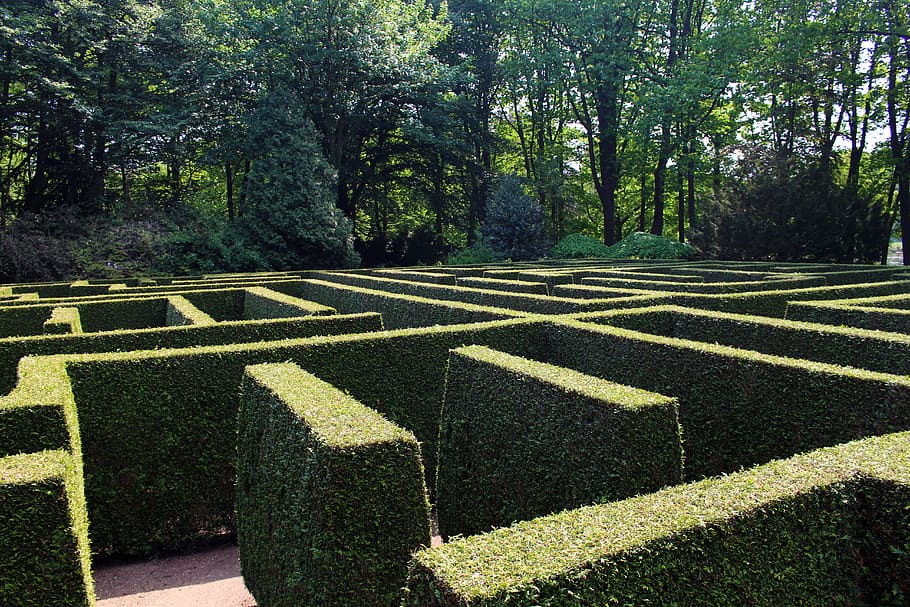labyrinth, maze, garden, hedge, structure, green, get lost, lines, schlossgarten, concluded anholt