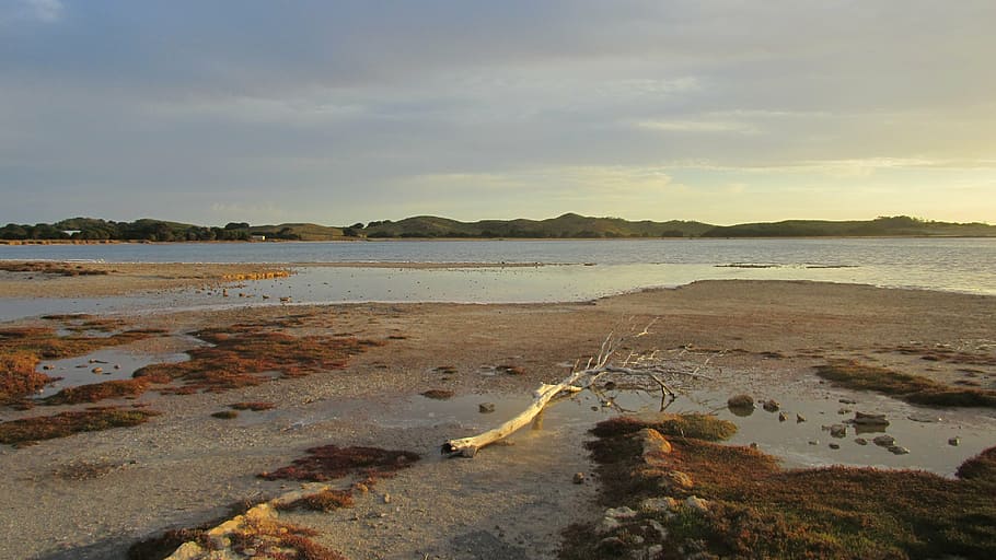 Isla Rotnest, isla, Australia, Rottnest, degradado, entrada, Australia occidental, Perth, playa, mar