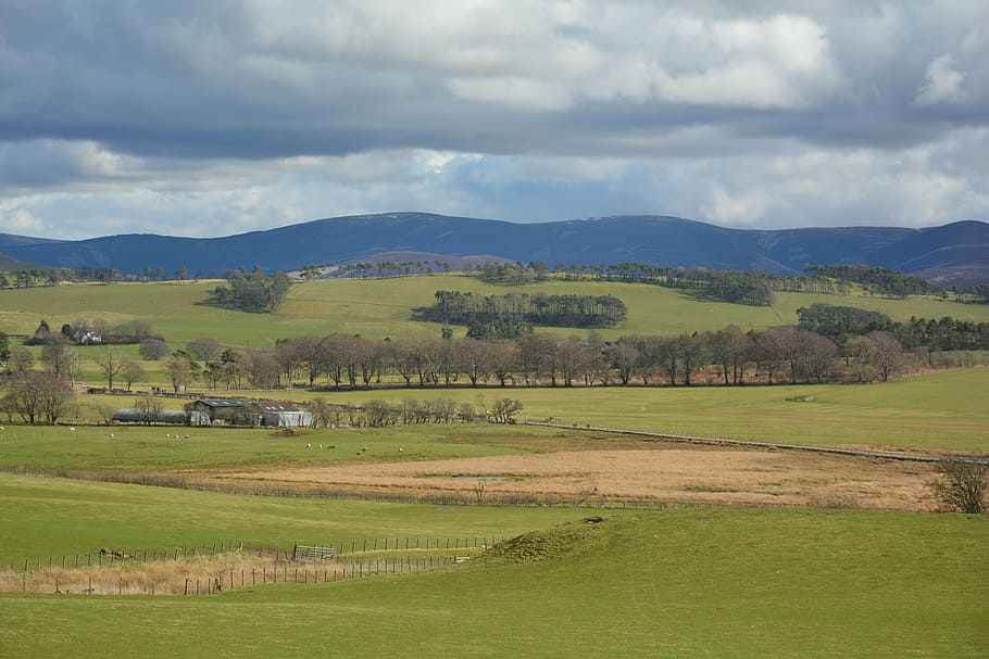 scotland, nature, landscape, scottish, uk, green, mountain, highlands, sky, scenic