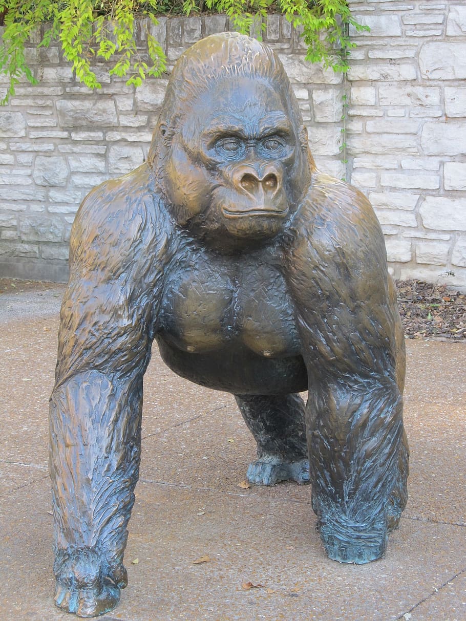 gorilla, sculpture, statue, public art, zoo, bronze, artist, outdoors, saint louis, mo