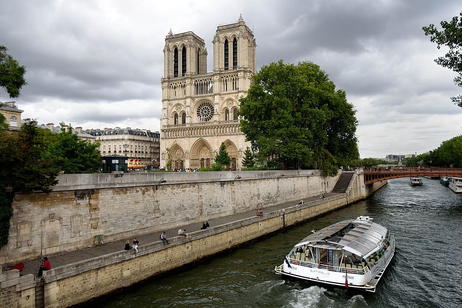 white, city boat, pake, notre dame, seine river, paris, cathedral, river, city, church