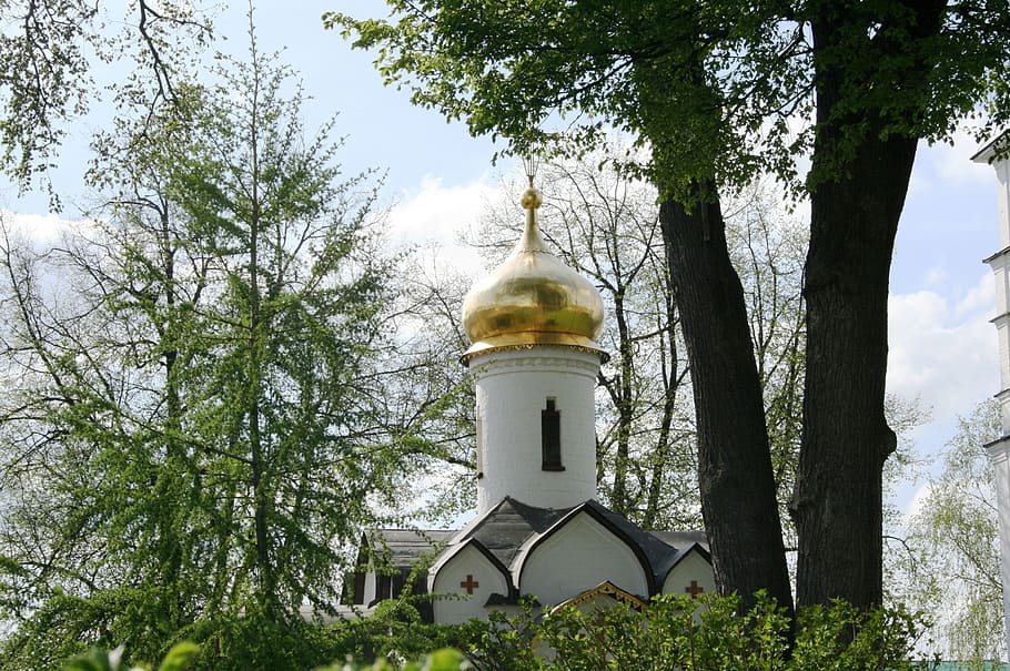 собор, русский, церковь, православный, здание, белый, архитектура, купол, золото, башни