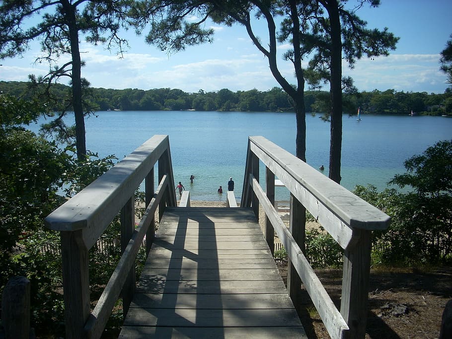 Cape Cod, Secret Lake, Pond, wooden stairs, landscape, cape cod lake, tree, wood - material, lake, day