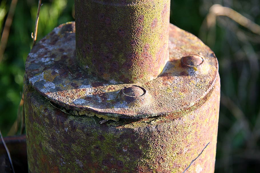 mechanism of iron, oxide, old, rusty, metal, close-up, nature, day, focus on foreground, plant