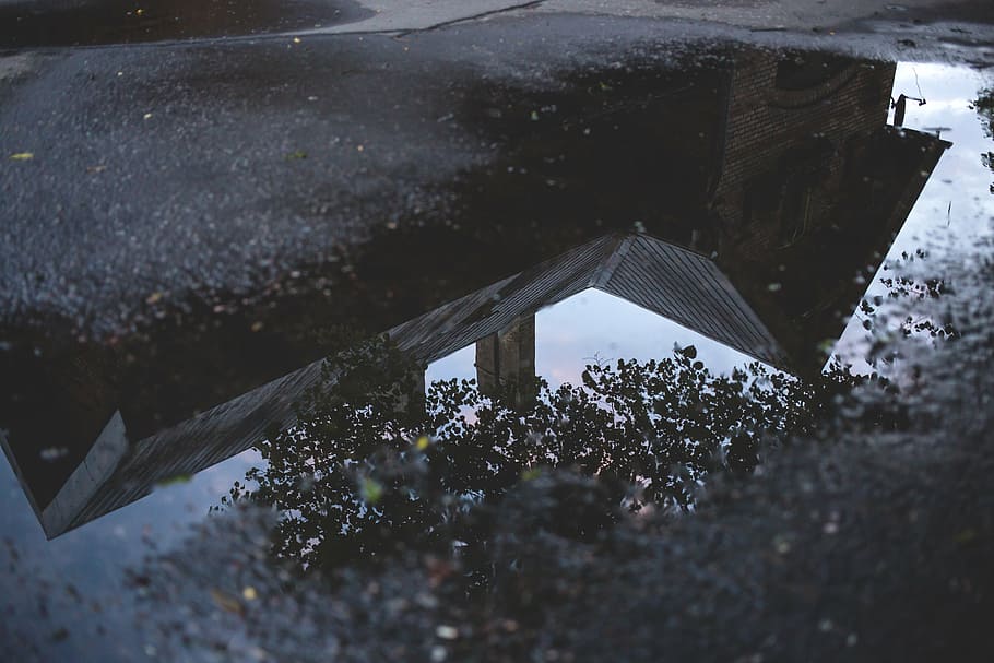 fotografía de ángulo bajo, casa, reflejada, agua, imagen, dos, piso, lluvia, árbol, planta