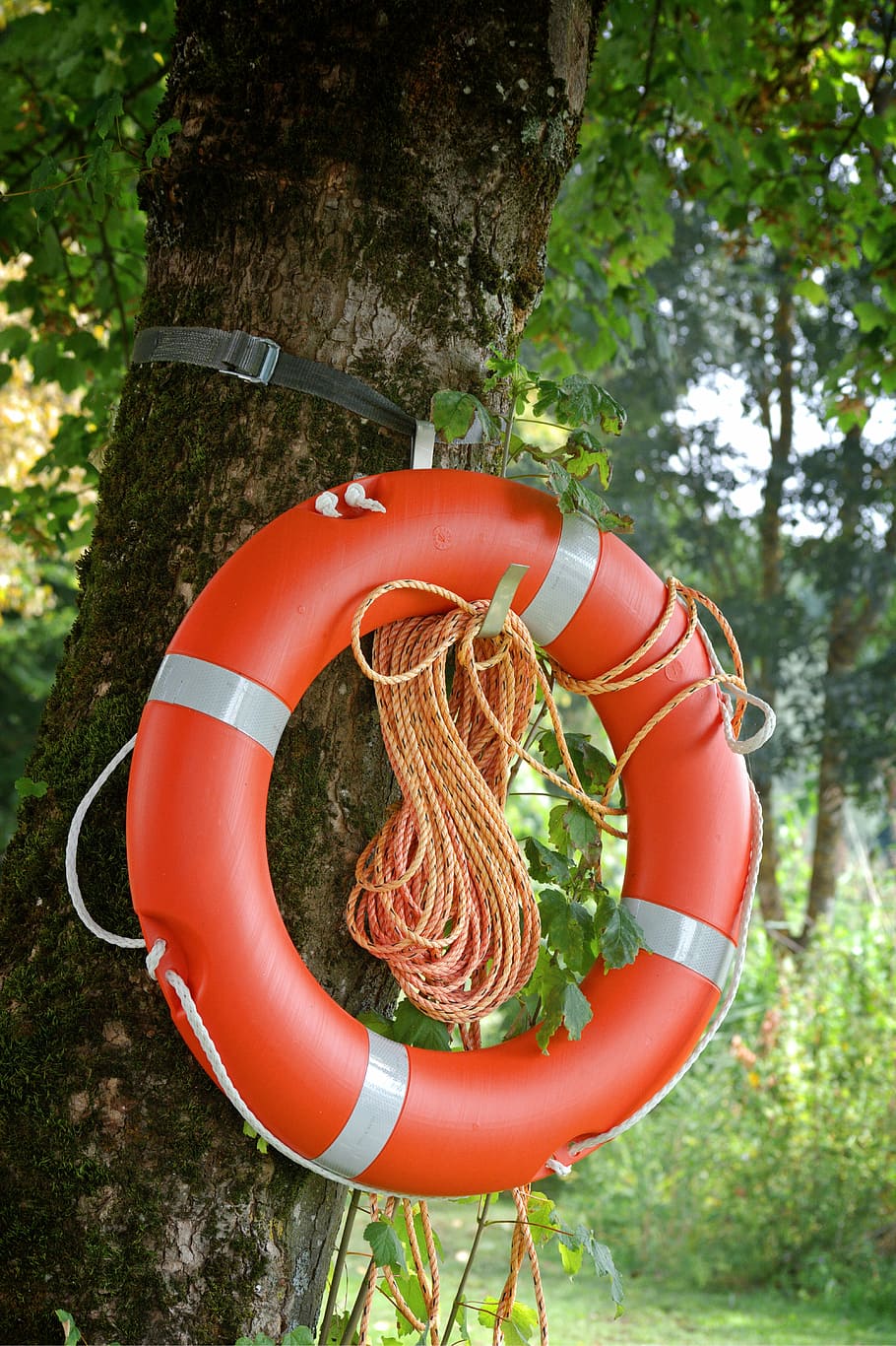 orange pool float, lifebelt, ring, rescue, swimming ring, security, red, help, swim, water rescue