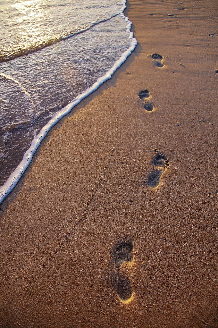 footprints, sand, seawave, beach, brown, foots, purple, sea, shore, summer