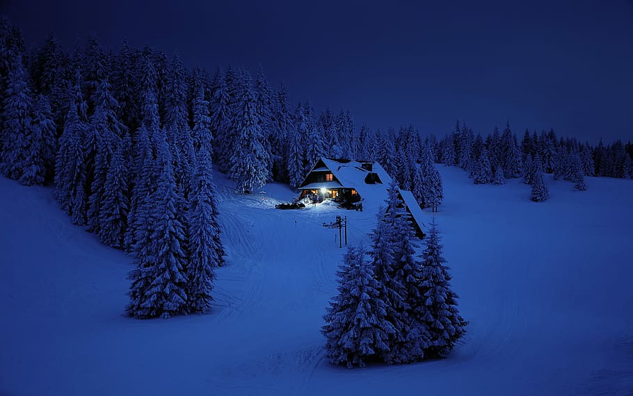 house, surrounded, pine trees, nighttime, snow, winter, mountains, night, light, cozy