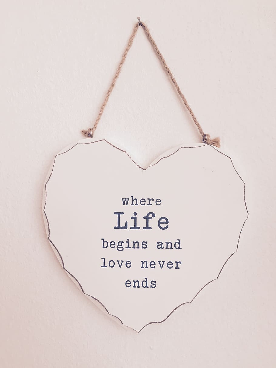heart-shaped, white, black, life, begins, love, never, ends, decorative, board