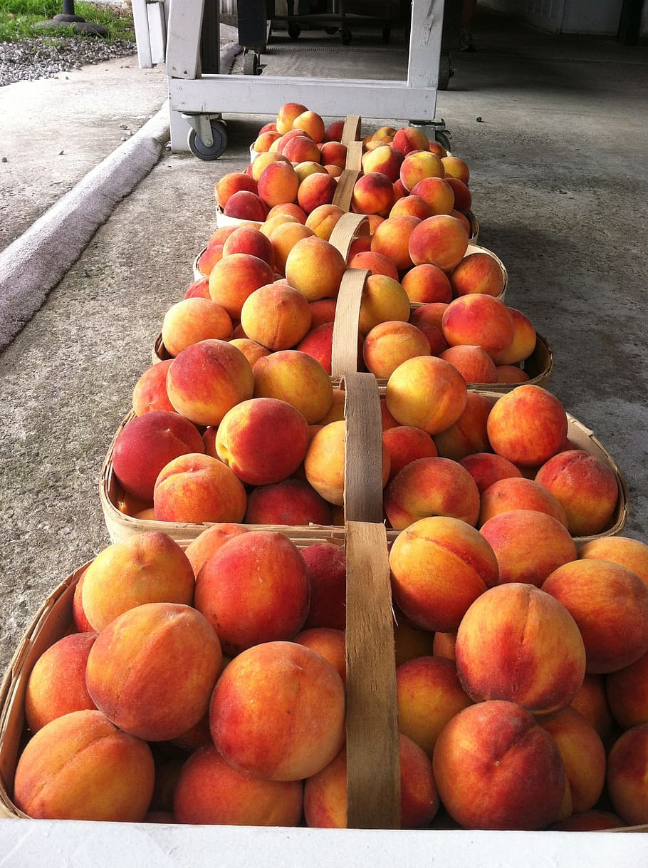 peaches, curb market, fruit, healthy eating, food and drink, food, wellbeing, freshness, large group of objects, red