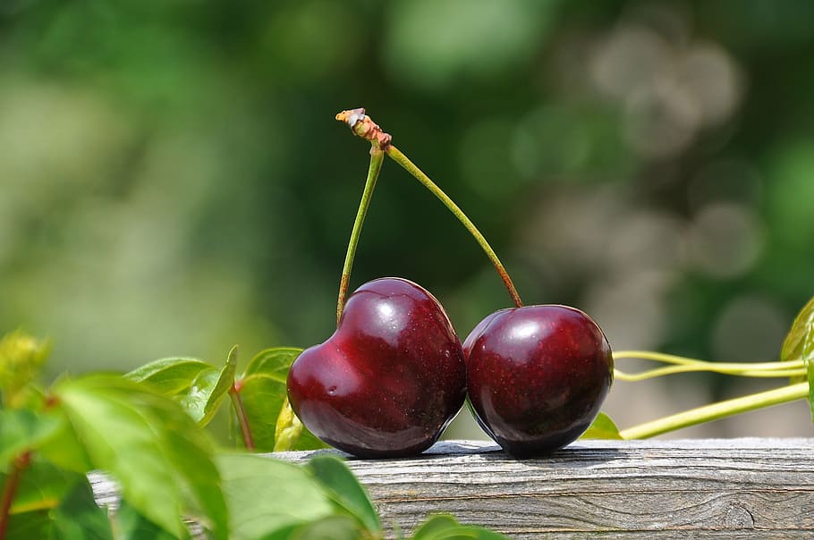 two red cherries, cherry, pair, fruits, sweet, food, berry, summer, red, nature