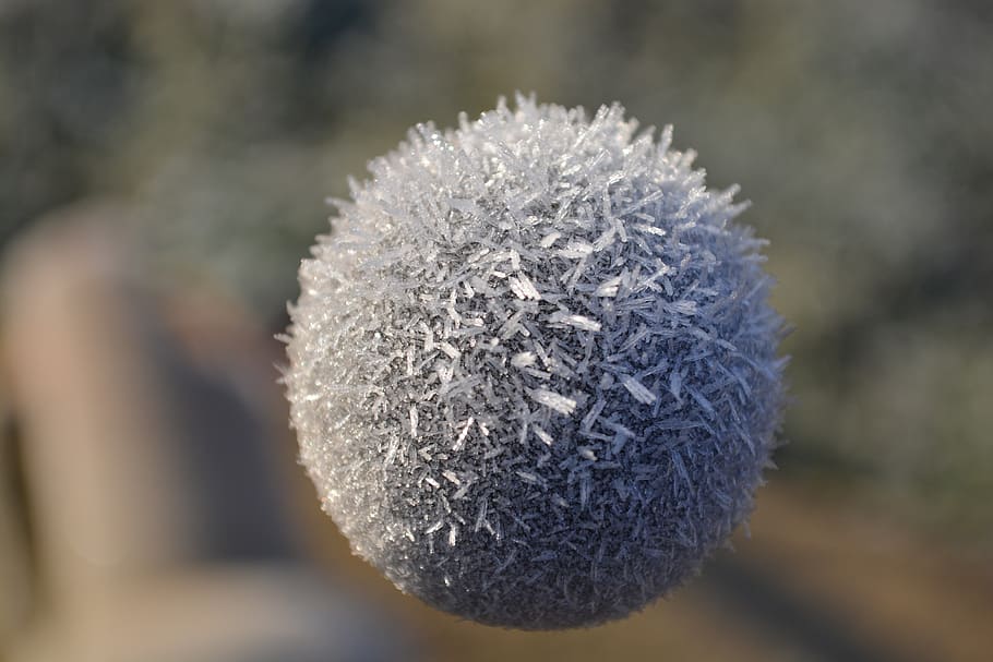 frost, ball, winter, close-up, focus on foreground, cold temperature, day, nature, plant, beauty in nature