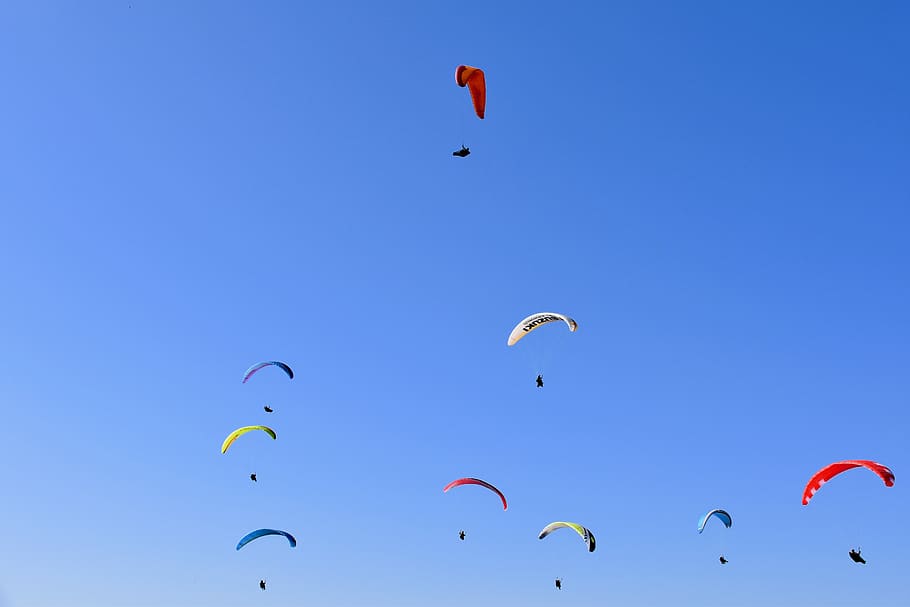 paragliders, sails, wings, blue sky, paragliding, fly, flight, aircraft, sport, adrenaline