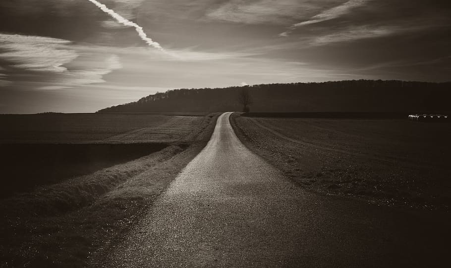 grayscale photo, paved, road, sepia, panorama, forest path, away, alley, lane, germany