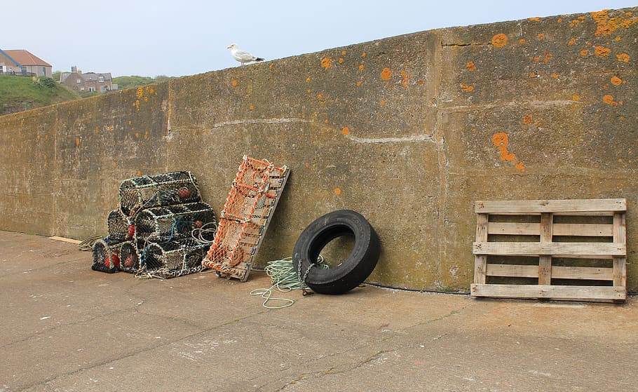 harbour, wall, creel, lobster pot, crab cage, seagull, wooden pallet, rubber tyre, fishing gear, day
