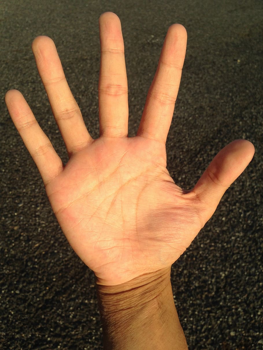 palma, mano, dedo, blanqueamiento, lectura de palma, joven, japonés, personas, cuerpo, partes