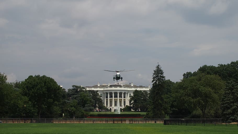 president, helicopter, white house, usa, united states, washington, plant, tree, architecture, sky