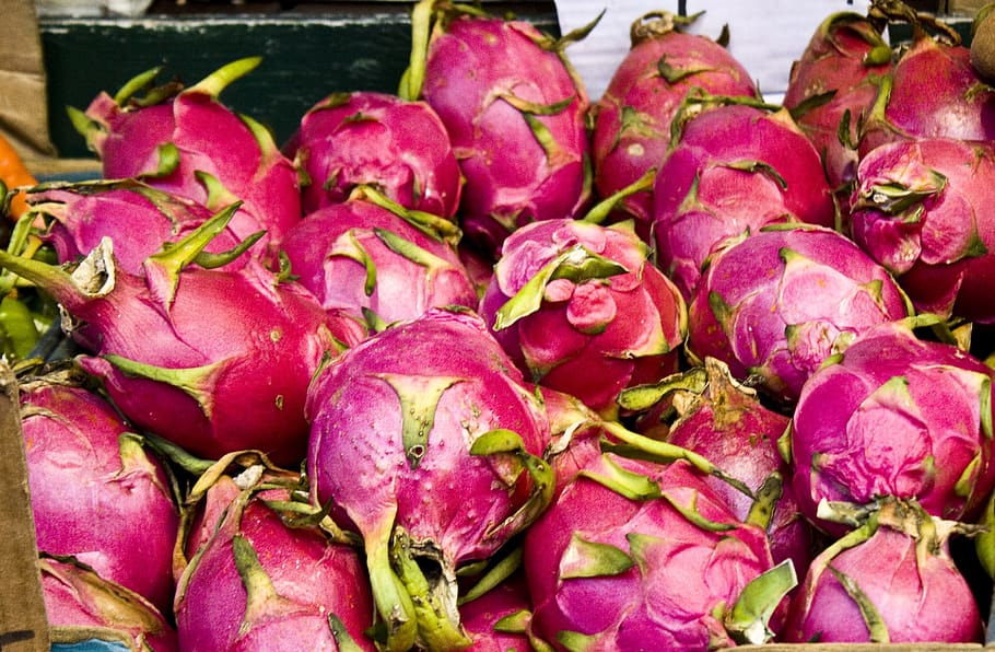 dragonfruit, fruit, tasty, red, food and drink, freshness, healthy eating, wellbeing, market, food