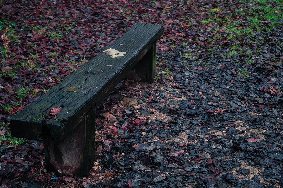 Bench, Path, Tree, Forest, Nature, Green, red, wood, based, outdoor