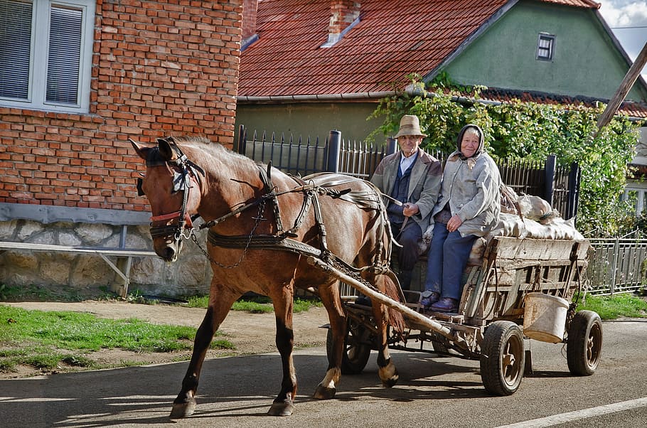 man, woman, riding, carraige, day time, People, Horse, Farm Wagon, wagon, agriculture