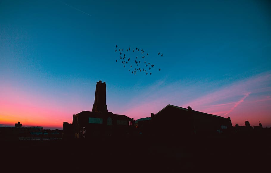 fotografía de silueta, pájaros, arquitectura, edificio, infraestructura, puesta de sol, cielo, nube, silueta, anochecer