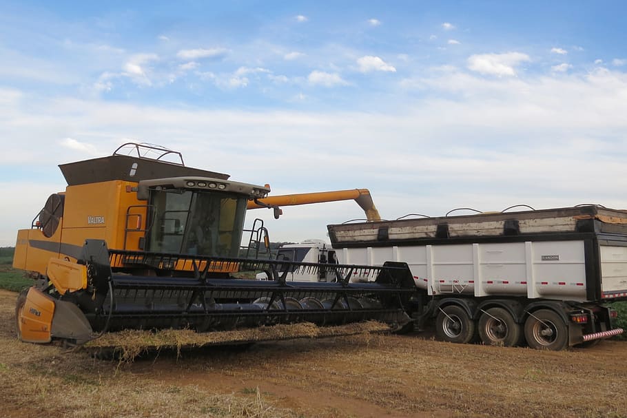 harvester, a machine for agricultural, harvest, soybeans, farm, field, machine, cereals, culture, grains