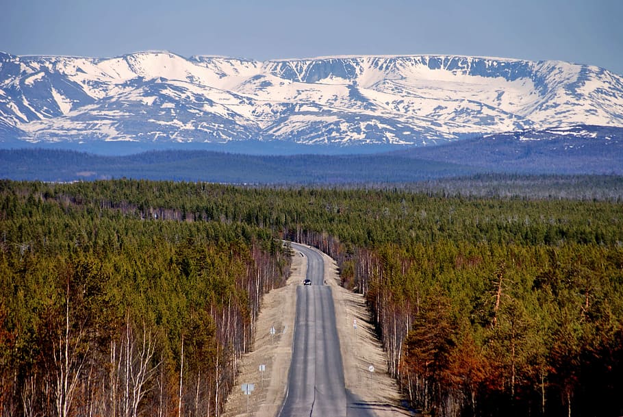 road between forest, road, forest, russia, landscape, scenic, mountains, sky, snow, snowcapped
