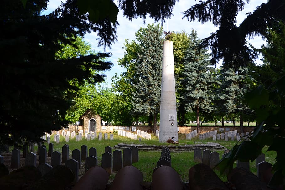 baranya-harkány, cementerio, búlgaro, militar, tumba, monumento, guerra, guerra mundial, árbol, planta