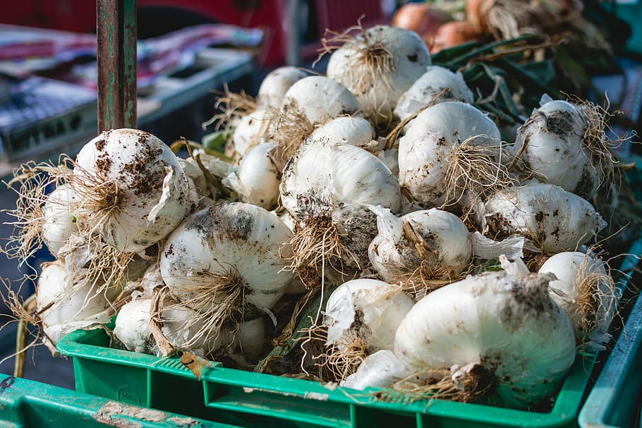 garlic, market, Dirty, Malta, food, freshness, vegetable, raw Food, organic, healthy Eating