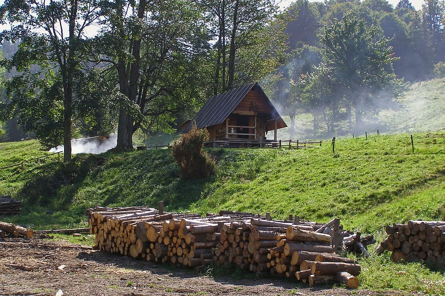 hut, cottage, mountains, shepherd's hut, wood, smoke, szczawnica, jaworki, poland, cheese making