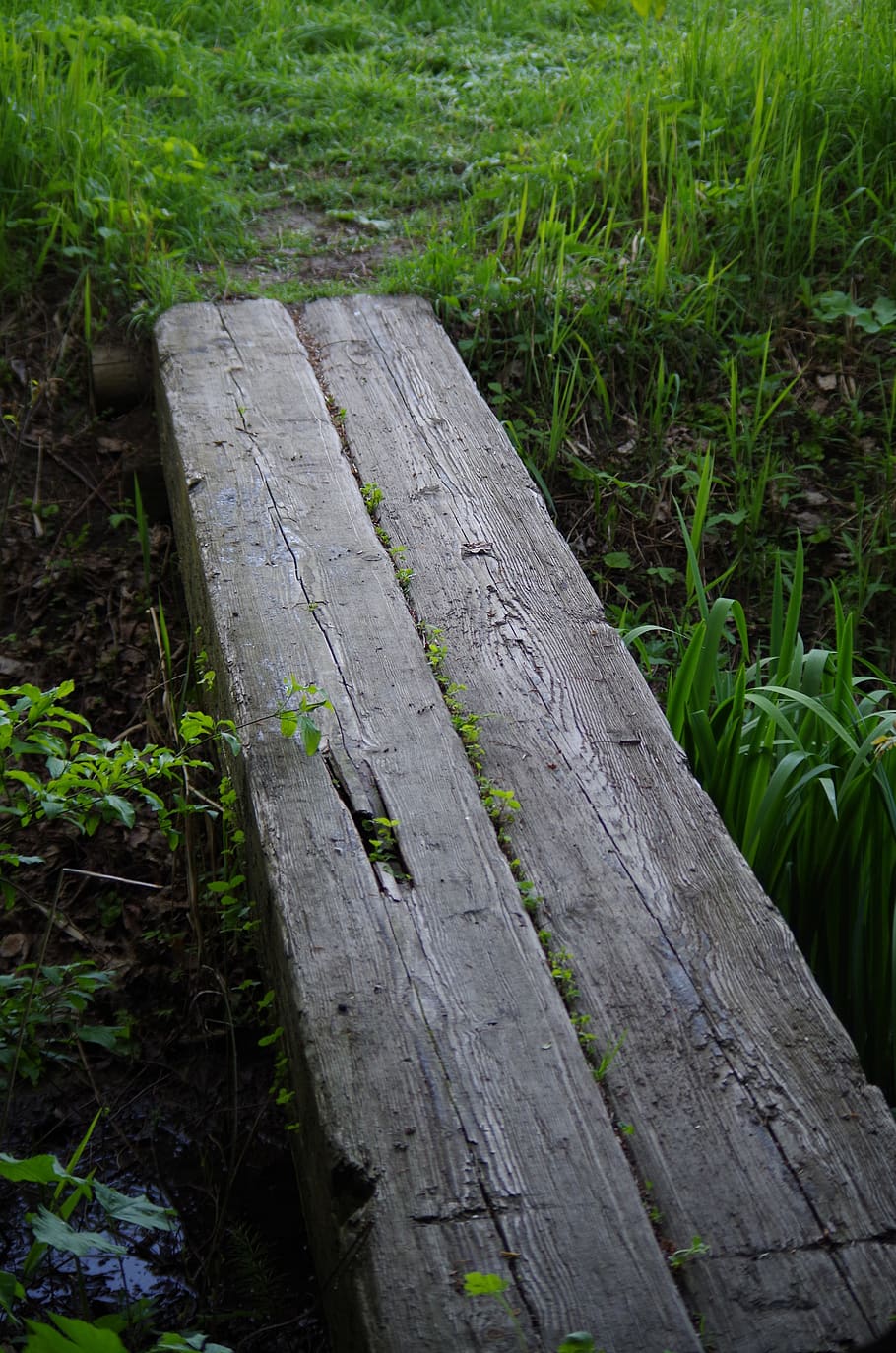 bench, bridge, wooden, creek, crossing, wood - material, plant, nature, land, day