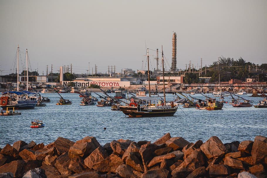 Barco, Fortaleza, Ceará, Beira Mar, mar, pesca, embarcación náutica, puerto, agua, velero