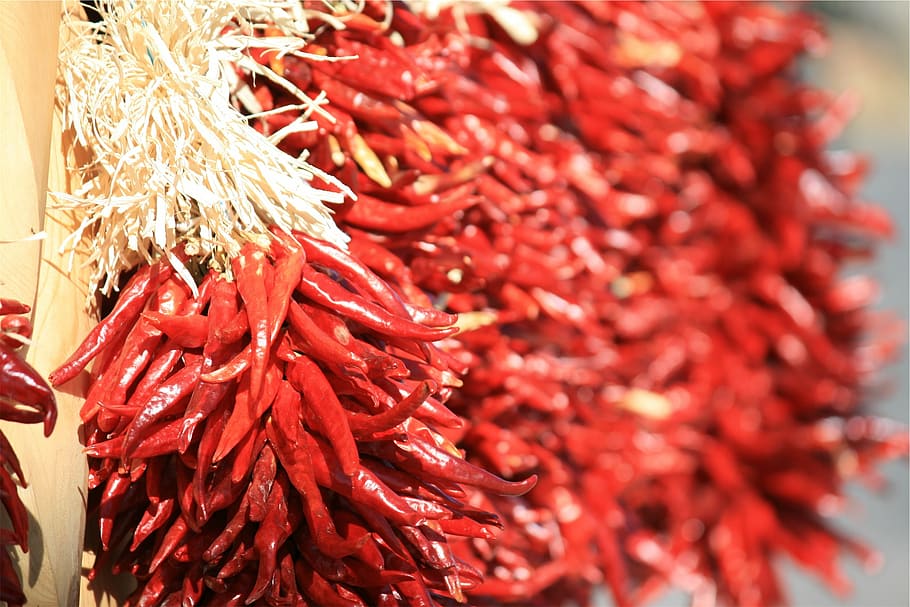 red, jalapenos, bundles, selective, focus, photography, chili, hot, chili peppers, abundance