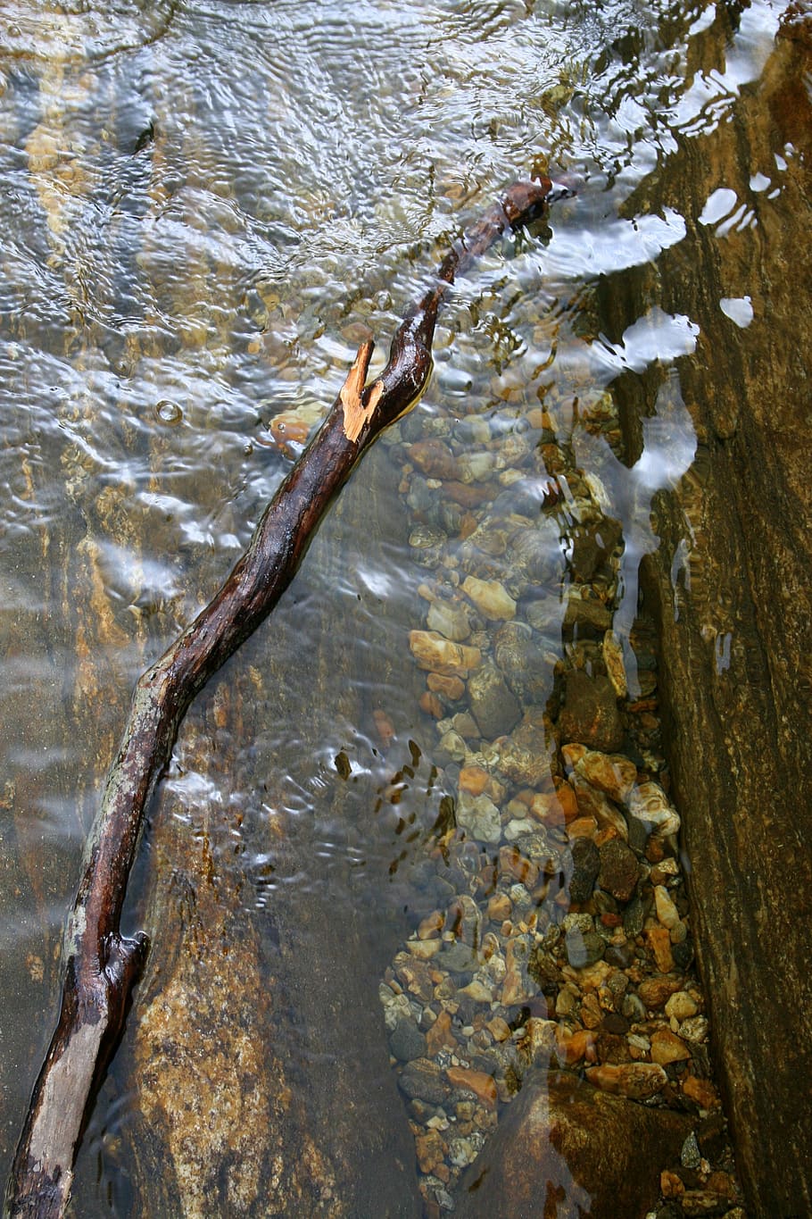 Речная среда. Дерево у потока вод. Вода ручей. Коряги в реке рисунок. Резьба ряби воды на дереве.