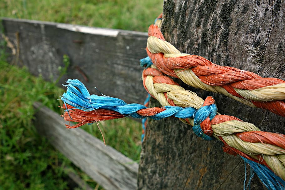 knot, rope, tied, twisted, fastening, security, string, post, gate, orange