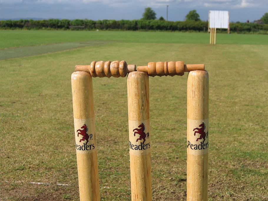 cricket, stumps, bails, pitch, sport, wicket, plant, field, focus on foreground, land