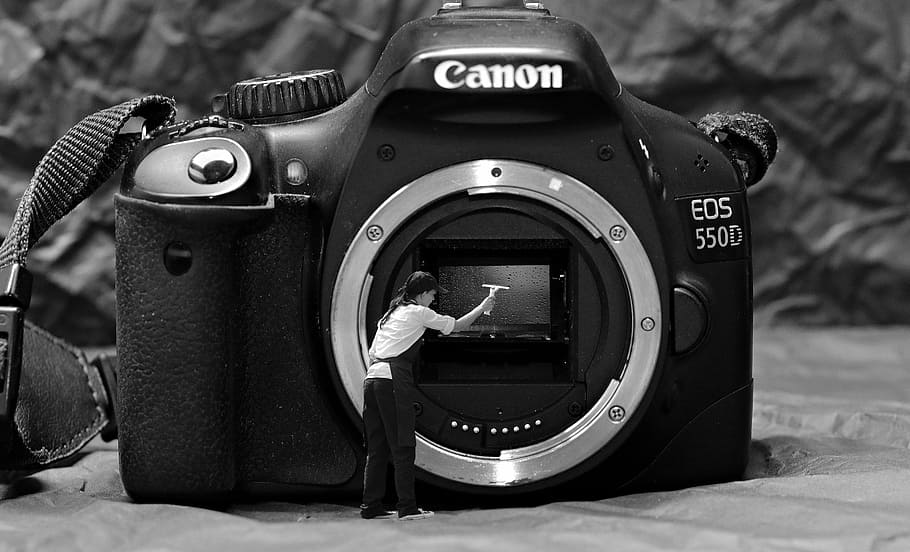 grayscale photography, canon eos 550, 550d, camera, frühjahrsputz, sensor cleaning, sensor, cleaning, clean, washing up