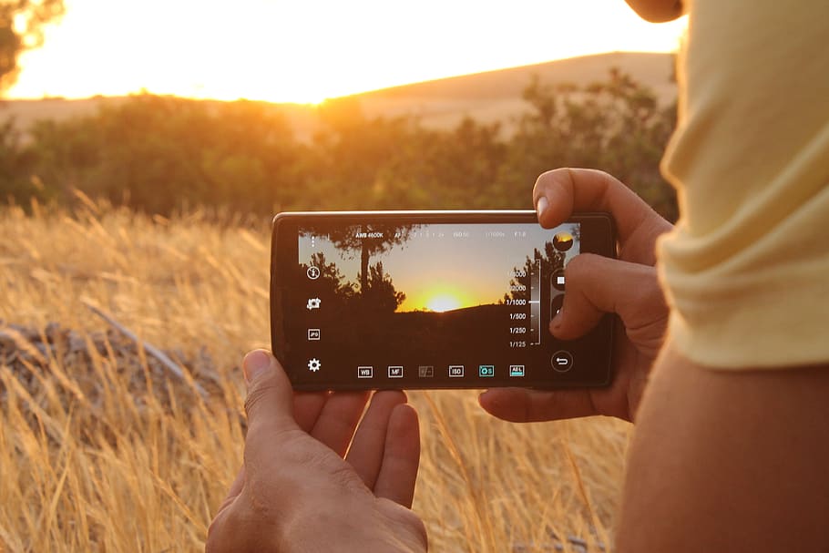 photography, person, person filming mobile, mobile photography, field, in the field, mobile phone, sunset, sunlight, orange color