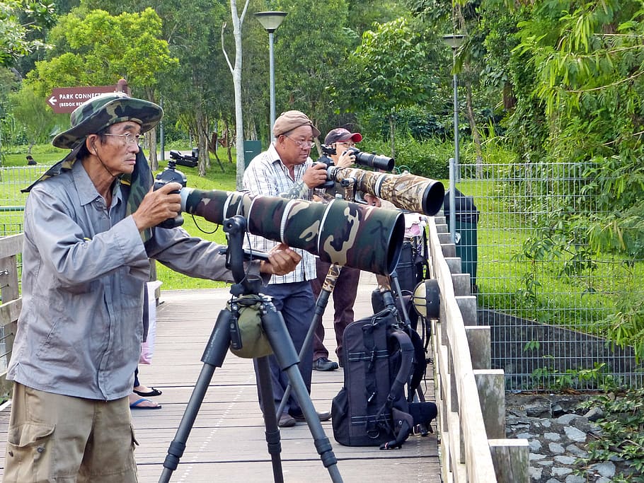 photographers, photography, camera, zoom lens, professional, green, park, camera stand, tripods, group of people