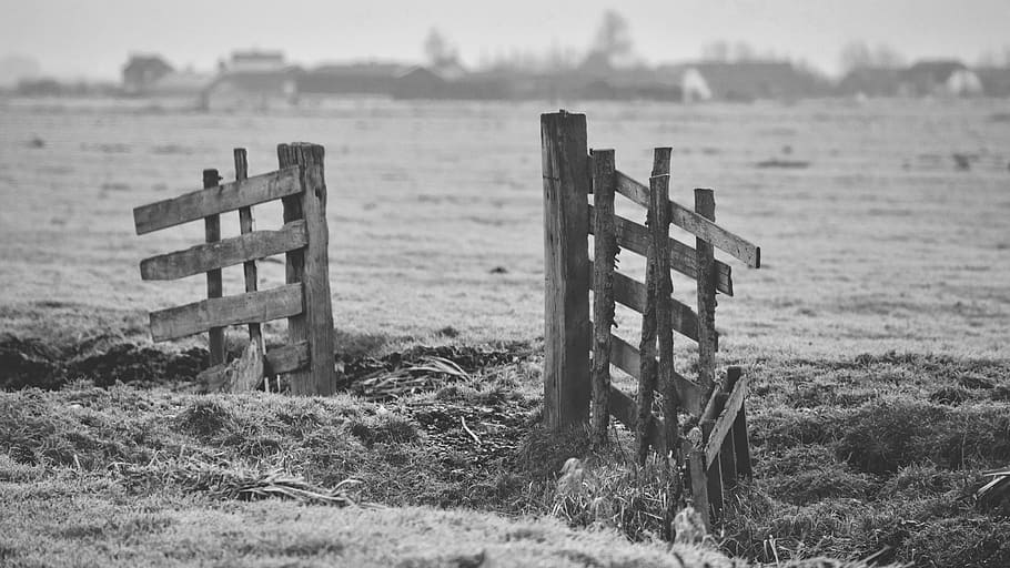 grayscale photo, wood gate, grass, barn, field, plant, fence, wood, farm, black and white