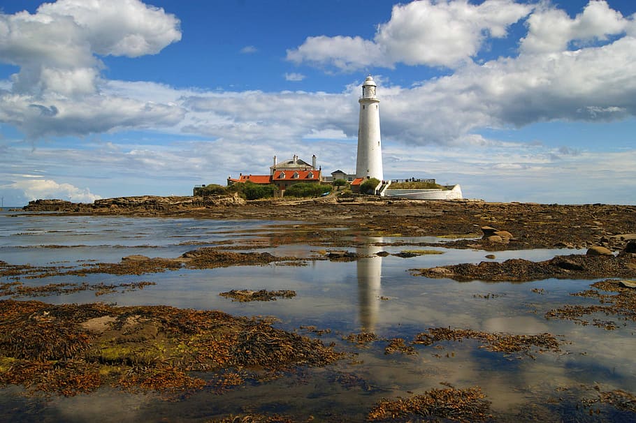 tide, distant, lighthouse, trees, built structure, architecture, water, building exterior, cloud - sky, sky