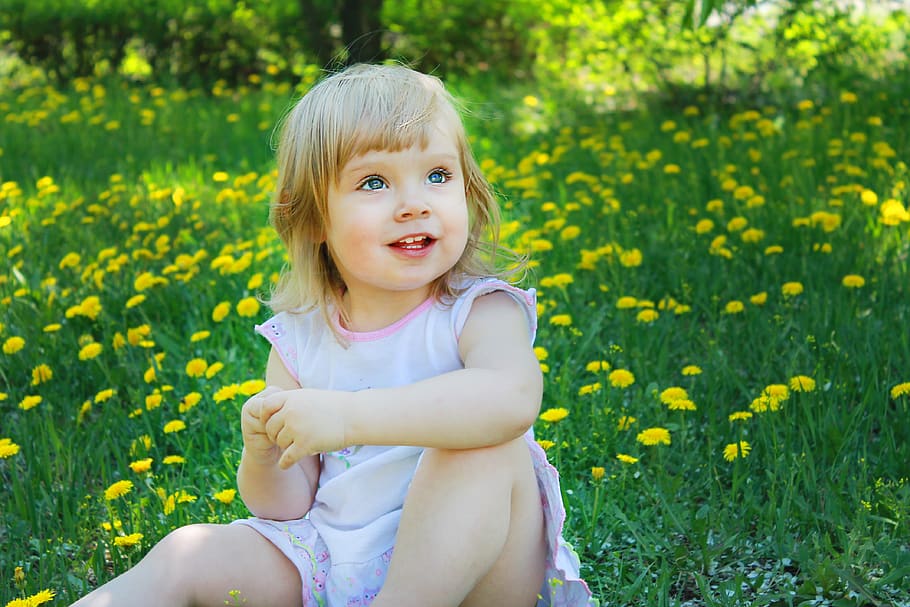 summer, dandelion, flower, nature, green, yellow, girl, blue-eyed, childhood, child