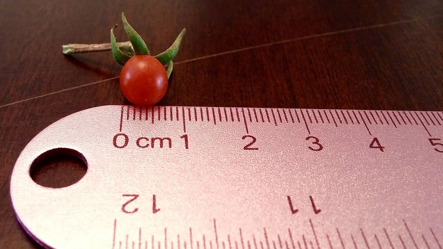 red cherry tomato, tomato, tiny, ruler, red, food, fruit, cherry, ripe, organic