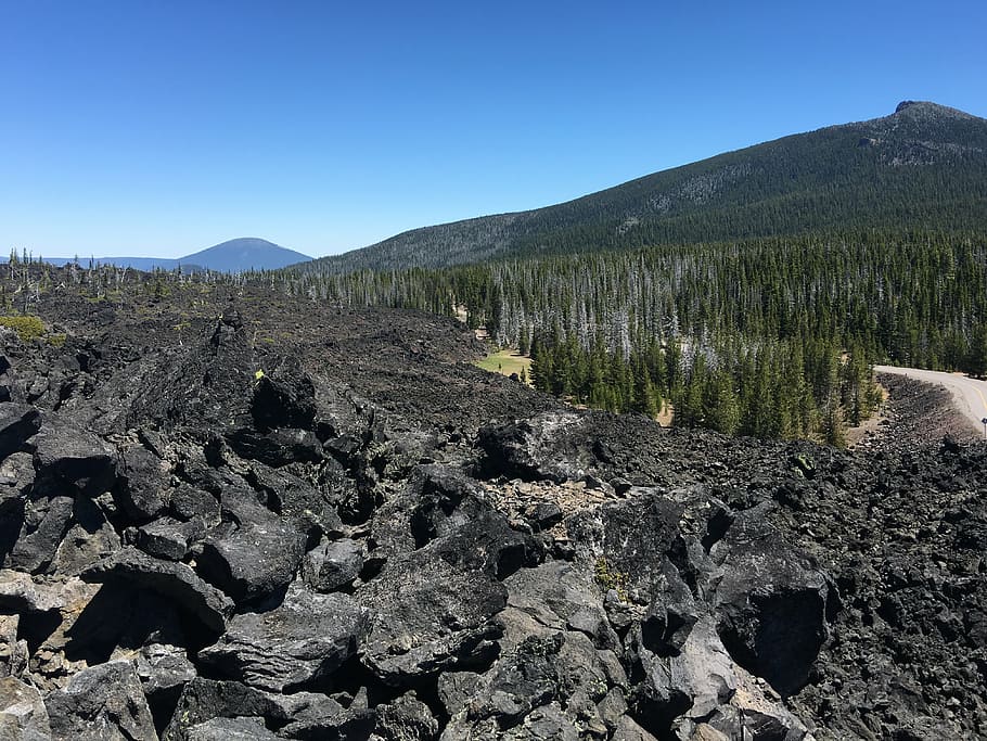 stone, piled, pine trees, lava, volcanic, nature, landscape, rock, travel, outdoor